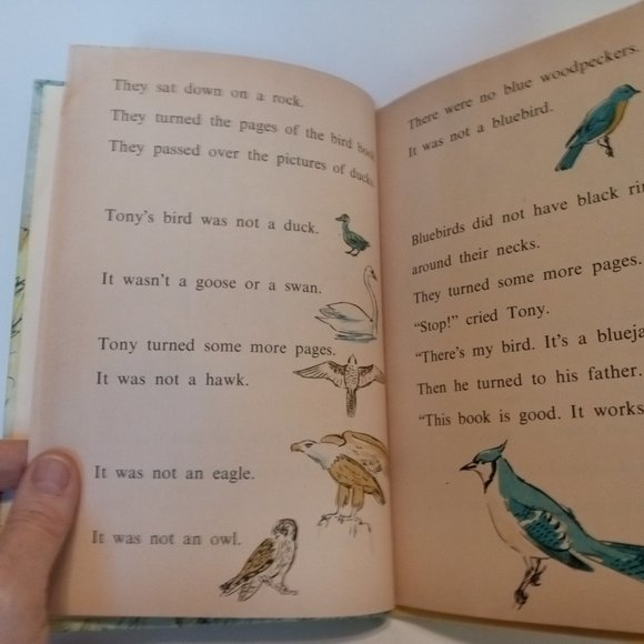"Tony's Birds" book from 1961 - Picture 8 of 12
